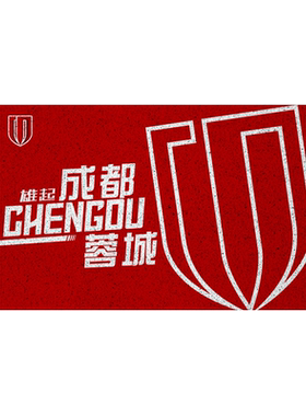 2024赛季蓉城足球队丝圈地垫