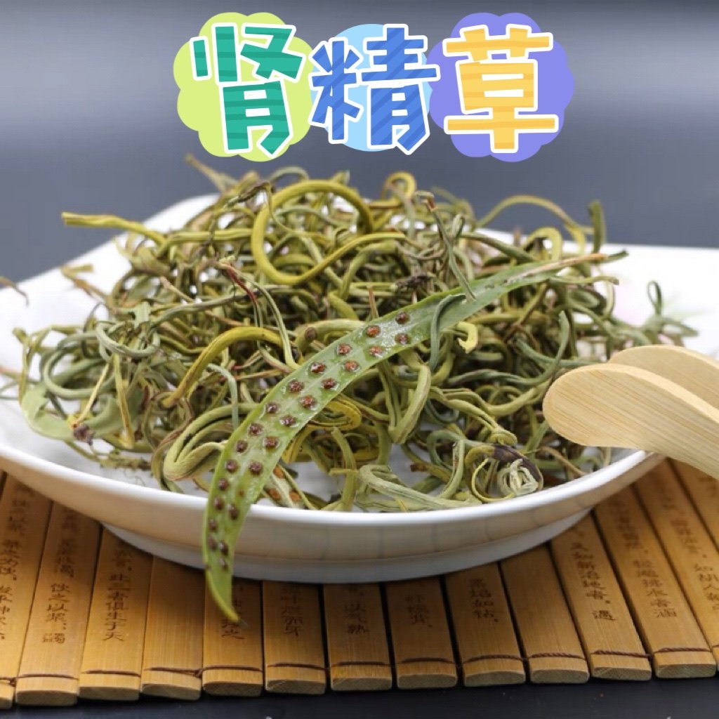 长白山野生肾经草肾精茶肾精草茶 男女调理保健养生茶50g/瓶