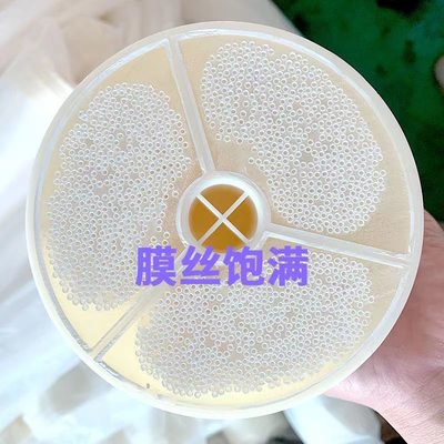 通用不锈钢净水器滤芯外压pvdf扯不断滤芯/pvc手洗超滤膜可拆洗