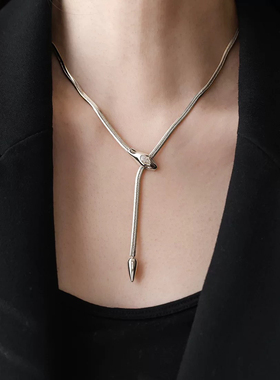 欧美辣妹风～不掉色设计感灵蛇锆石项链女锁骨链蛇骨银色颈链复古