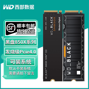 机电脑pcie4.0固态硬盘SSD 4T台式 RGB黑盘1T WD西部数据SN850X