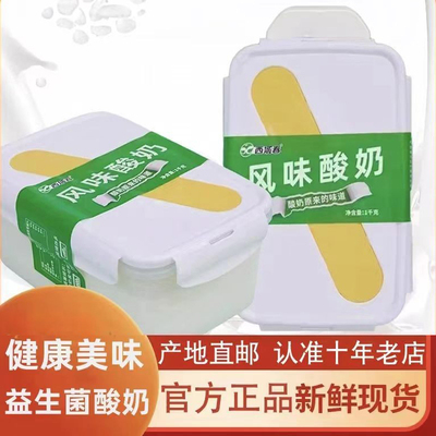 西域春饭盒酸奶益生菌发酵新疆