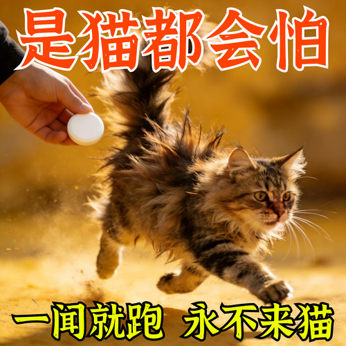 强力驱猫丸室内户外野外驱野猫樟脑丸防猫抓猫上床乱尿驱赶片