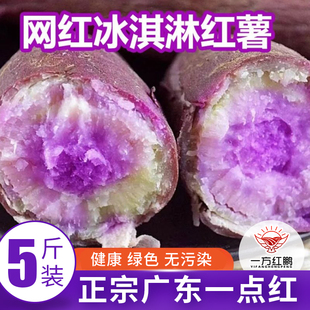 广东一点红番薯新鲜农家自种沙地花心冰淇淋番薯紫心板栗蜜薯地瓜