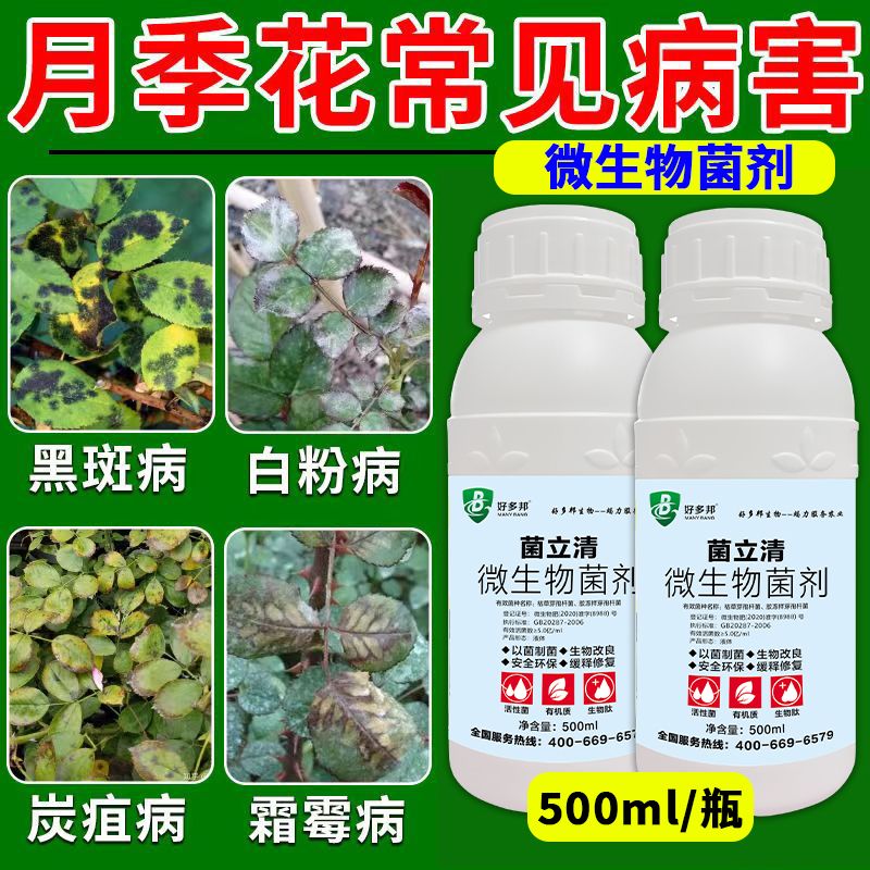 月季病害月季花专用药病全治月季白粉病杀菌剂黑斑病叶斑病花卉药