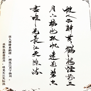 秀丽笔现代毛笔临摹字帖行书草书野生体江湖体成人大学生男女练字