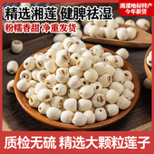 湘潭寸三莲 特级大颗粒白莲子新鲜去芯磨皮湘潭湘莲干货无硫
