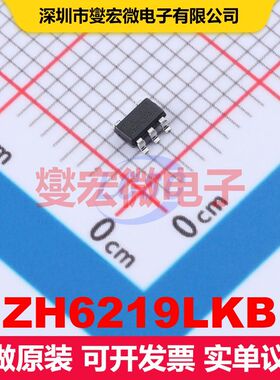 ZH6219LKB SOT-23-5 电机驱动器/控制器 电源管理 集成芯片IC