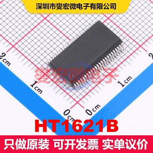 HT1621B SSOP-48 显示驱动器 电源管理 集成芯片IC