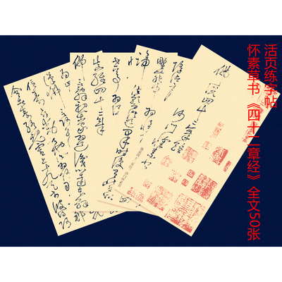 怀素狂草四十二章经毛笔书法草书教学活页练字帖