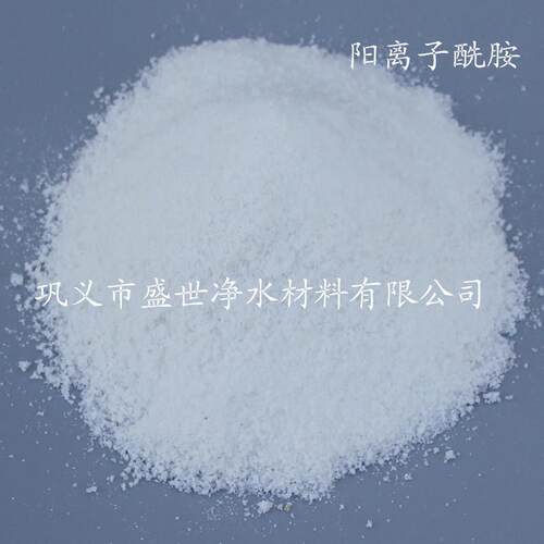聚丙胺酰|离子|p烯am报价|盛世净阳水厂ss-pam-0家直销