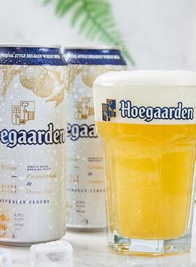 Hoegaarden福佳白啤酒500ml*2听罐装啤酒百威喜力