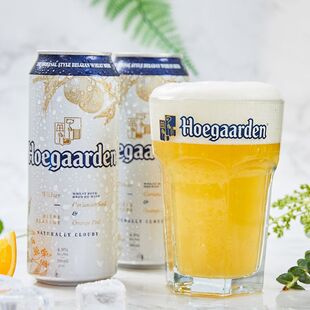 Hoegaarden福佳白啤酒500ml*2听罐装啤酒百威喜力