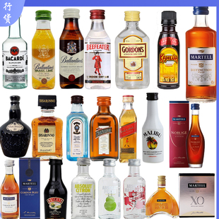 进口小酒版 组合小瓶洋酒瑞典威士忌伏特加长岛冰茶 便利店调酒套装