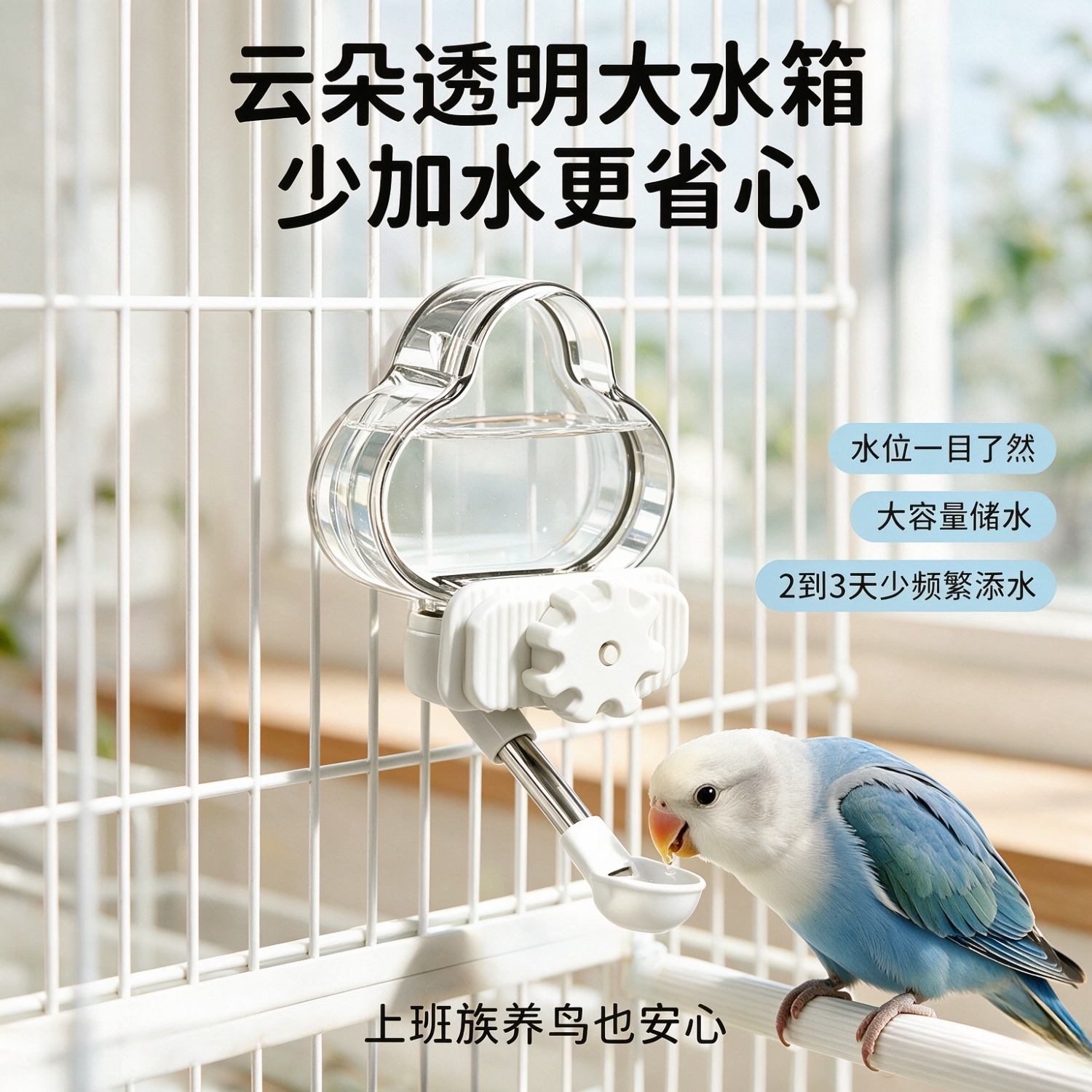 自动防溅鹦鹉饮水器牡丹玄凤