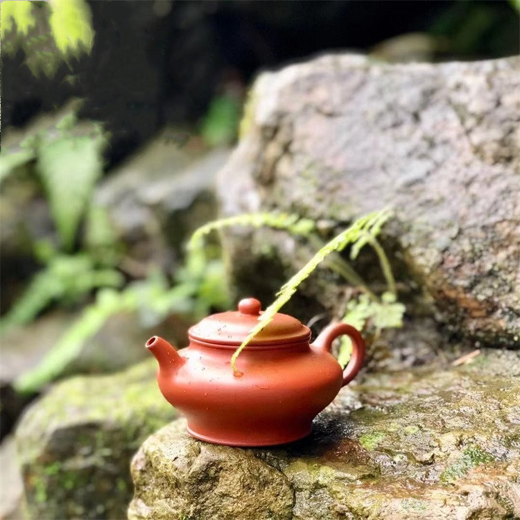 行家茶壶茶具1-3人2-3人3-4人4-5人8-10人