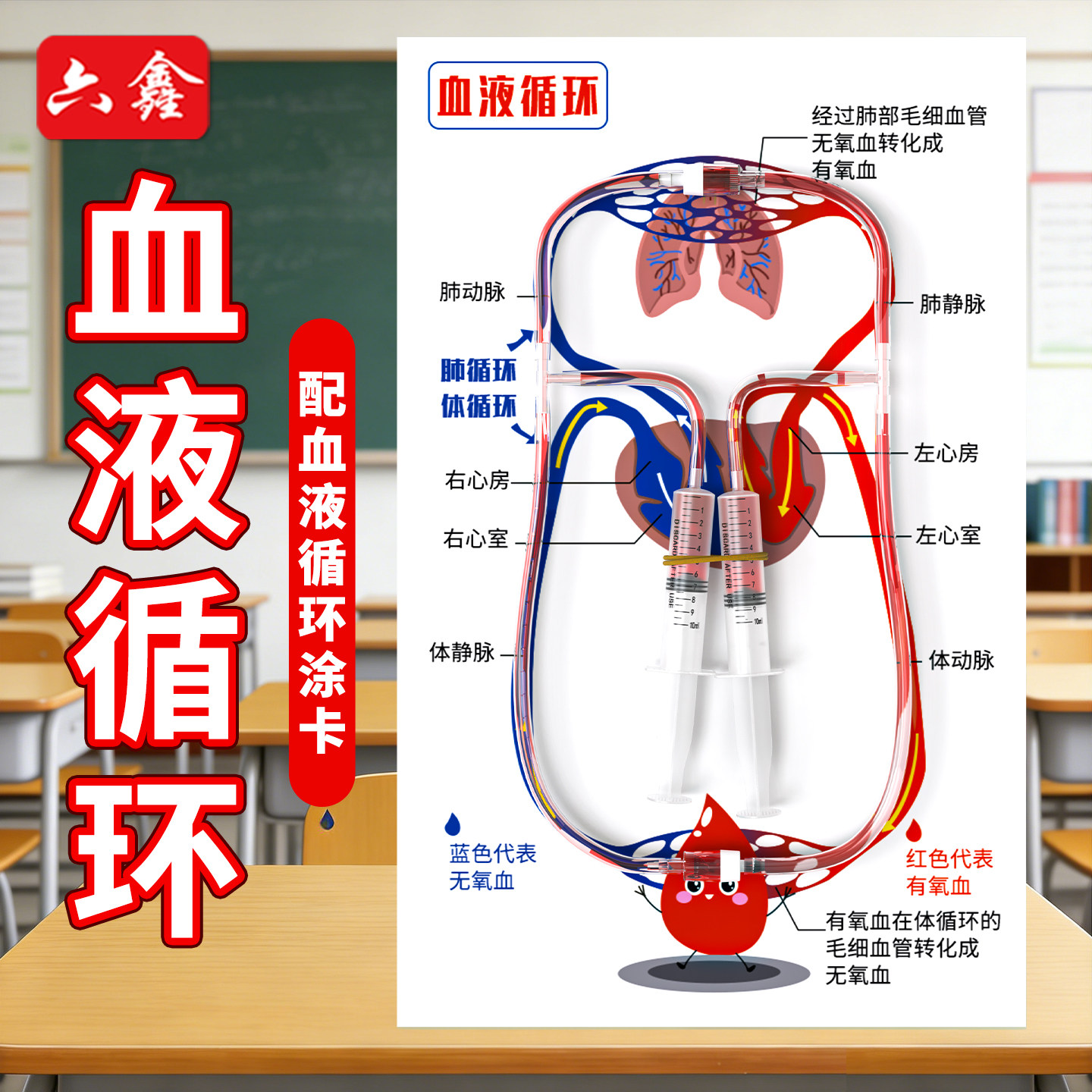 血液循环模型科学小实验手工材料图片