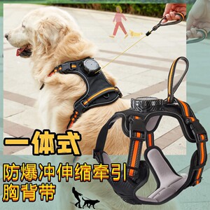 大中小型犬外出牵引绳胸背套装