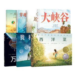 凯迪克奖探索系列陈振盼经典作品全7册精装科普绘本一座岛的600万年穿越侏罗纪原始森林寒武纪珊瑚礁大峡谷万有引力我和宇宙西洋菜