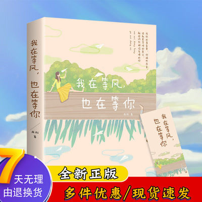 我在等风 也在等你 一本洗涤心灵 遇见爱情的书 青春过往 温馨爱情 21个情感故事 献给仍然相信爱情的你 轻小说DG