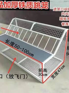 鸽子跳笼信鸽赛鸽用品用具鸽棚鸽舍进口只进不出跳笼放飞笼门