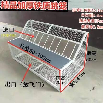 鸽子跳笼信鸽赛鸽用品用具鸽棚鸽舍进口只进不出跳笼放飞笼门