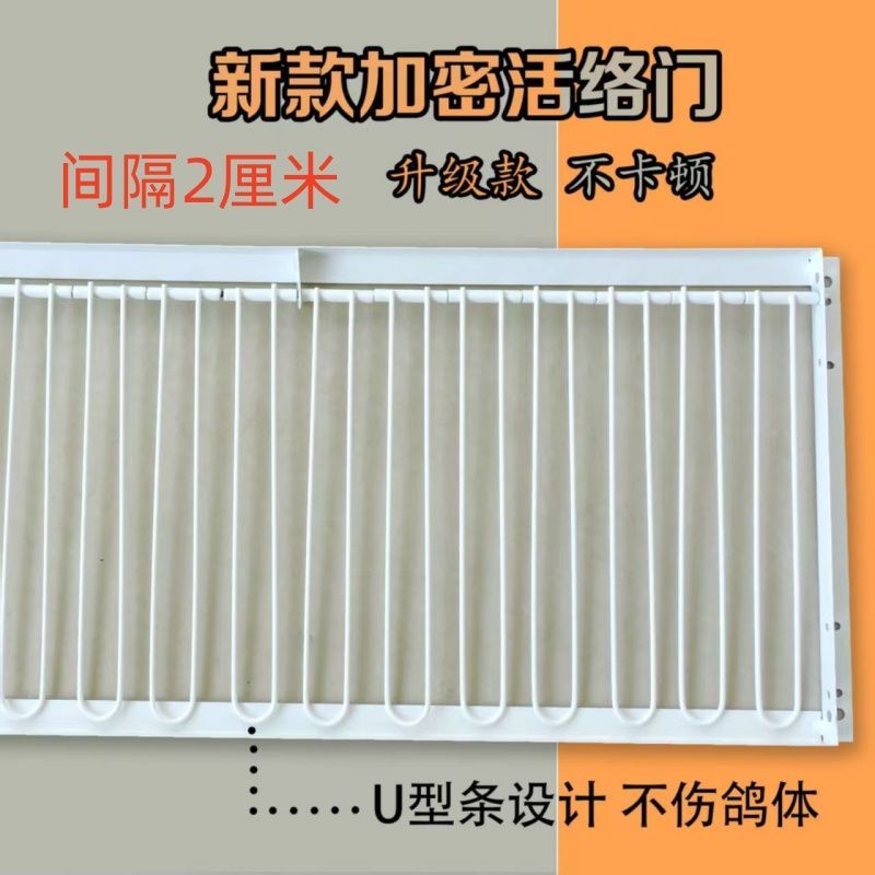 鸽子撞门活络门只进不出鸽棚笼门赛鸽撞门新款U型加密单向鸽子门