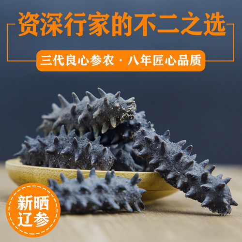 辽参8年50g野生大连海参