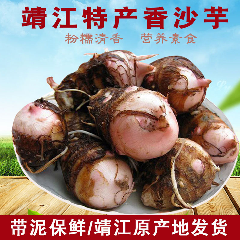 靖江香沙芋2022新鲜马桥芋头芋仔农家自种现挖现发口感纯正粉糯香