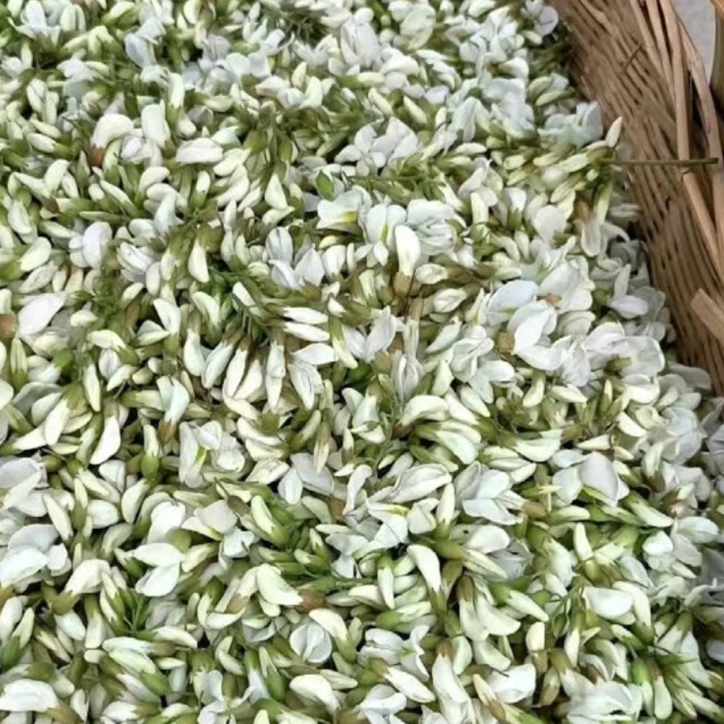 25年新鲜洋槐花现摘杨槐花当季野菜农家嫩刺槐花骨朵蒸菜商用包邮
