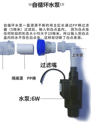 防白点隔离盒克力自循环繁殖饲养孵化隔离带隔板挂式盒带吸磁版