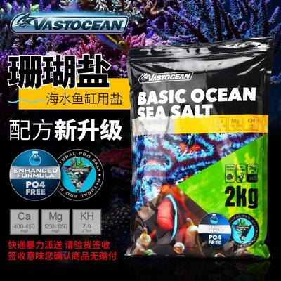 海盐软体硬骨珊瑚盐海水鱼缸专用