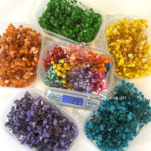 满天星勿忘我干花盒装diy花材