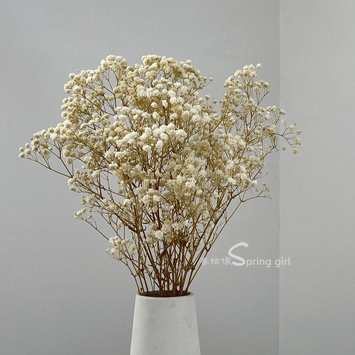 满天星永生干花情人草真花保鲜花