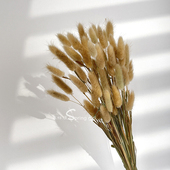 客厅装 兔尾草 天然真干花花束 饰摆设ins狗尾巴草家居桌面摆件diy