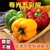 新鲜彩椒山东寿光五彩柿子椒圆椒辣椒灯笼椒甜椒蔬菜产地 包邮