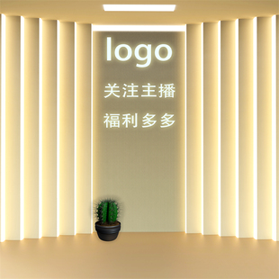 网红主播简约3D立体大气直播 品牌logo直播间背景墙高级感男女服装