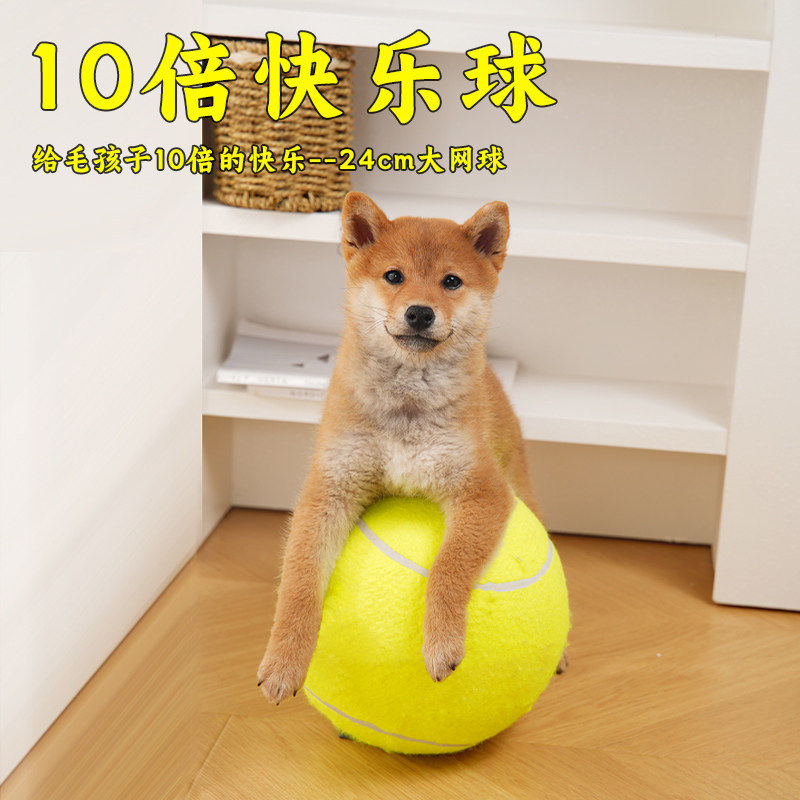 狗狗玩具球十倍快乐球超