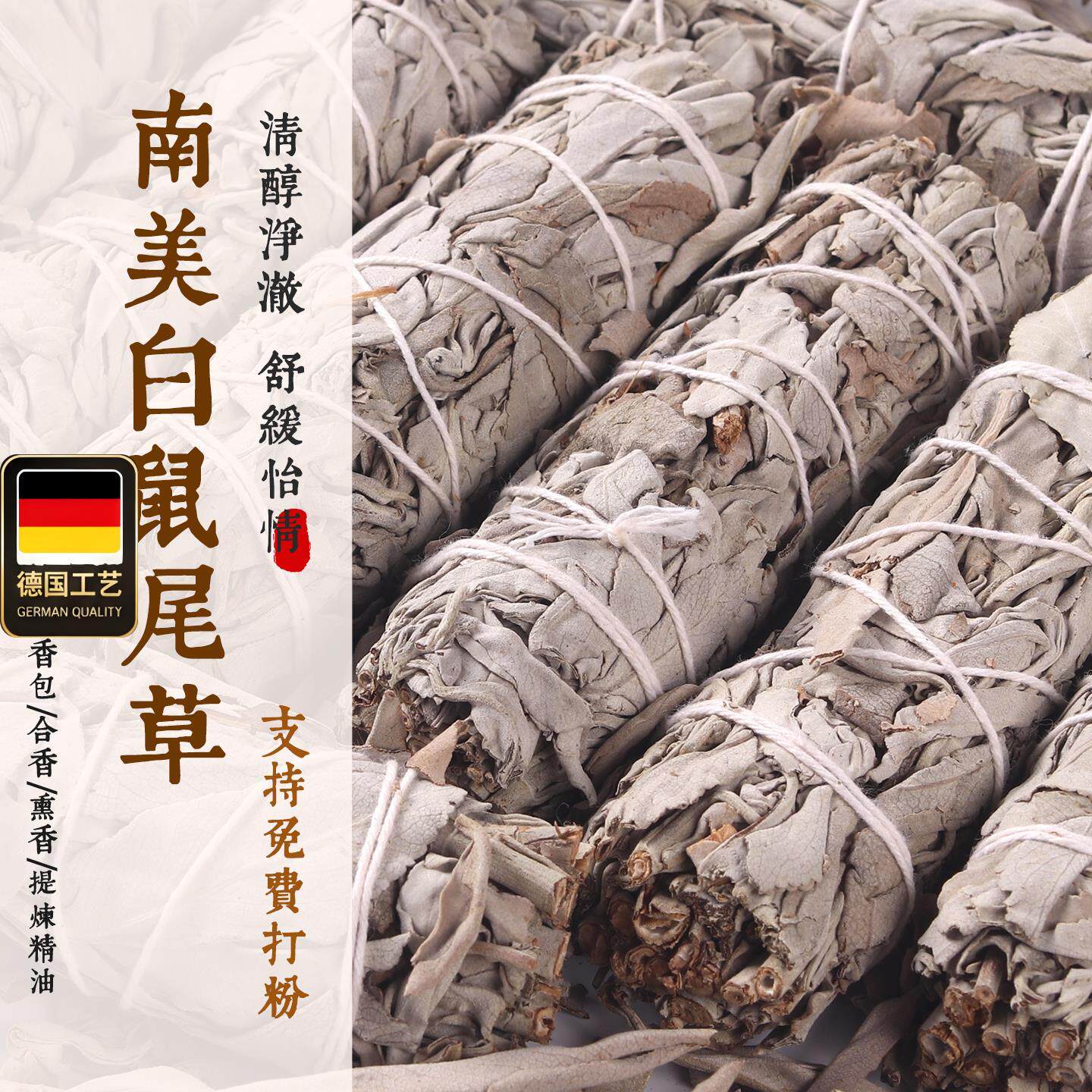 白鼠尾草北美国进口成捆