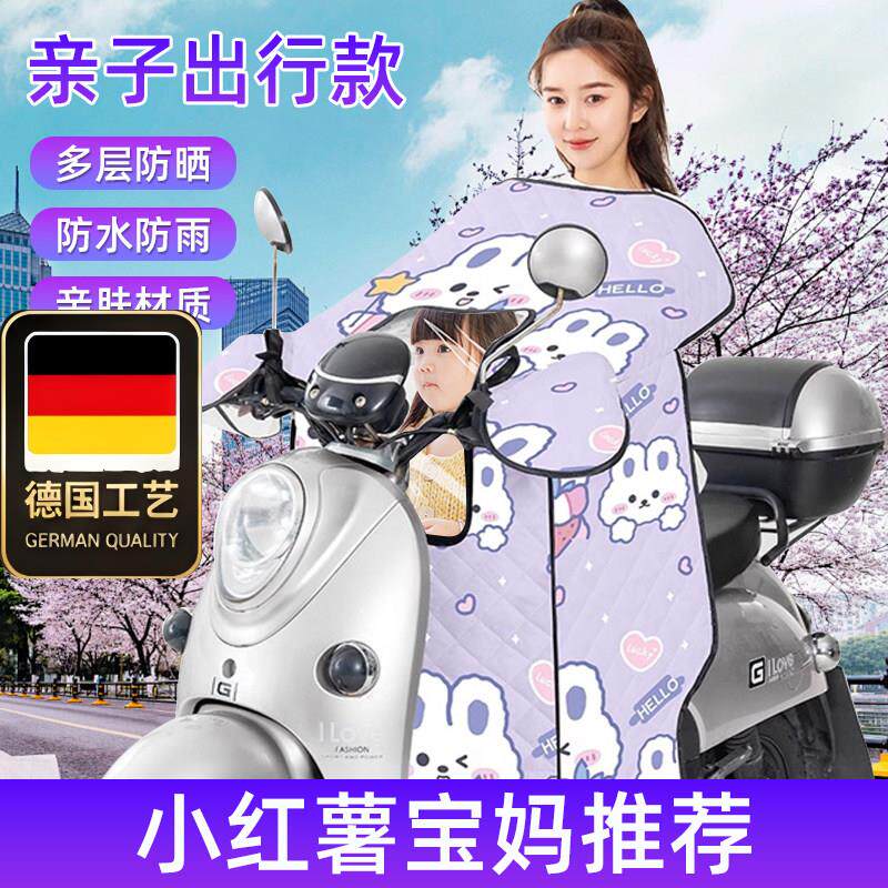 德国工艺电动车挡风被202