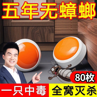 第屋内非无毒双杀除虫卵杀虫剂胶饵 蟑螂药家用全窝端强效一名正品