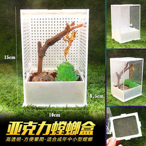 萌宠有约透明亚克力爬宠饲养盒