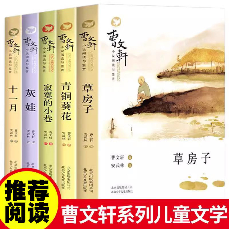 抖音曹文轩系列儿童学全套