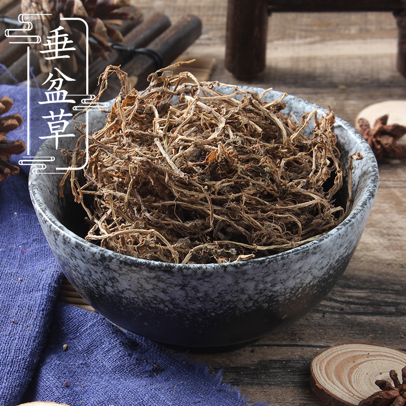 野生垂盆草500克 垂盆草 中药材垂盆草茶野生垂盆草新货 2件包邮