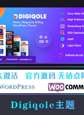 Digiqole 汉化中文版 WP主题 新闻杂志博客响应式网站模板