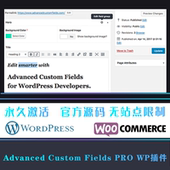 Custom 强大专业直观 Fields Advanced PRO 中文版 字段 WP插件