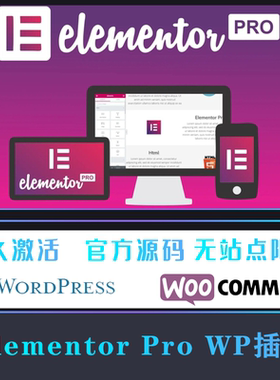 Elementor Pro WP插件 中文版 可视化编辑页面自定义含全套模板