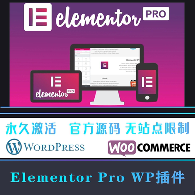 Elementor Pro WP插件 中文版 可视化编辑页面自定义含全套模板
