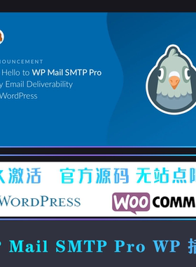 WP Mail SMTP Pro 流行的邮箱管理设置邮件发送插件 WP插件
