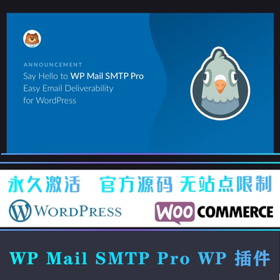 WP Mail SMTP Pro 流行的邮箱管理设置邮件发送插件 WP插件